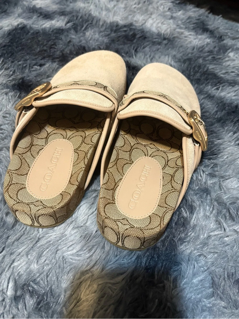 Archival Buckle Clog